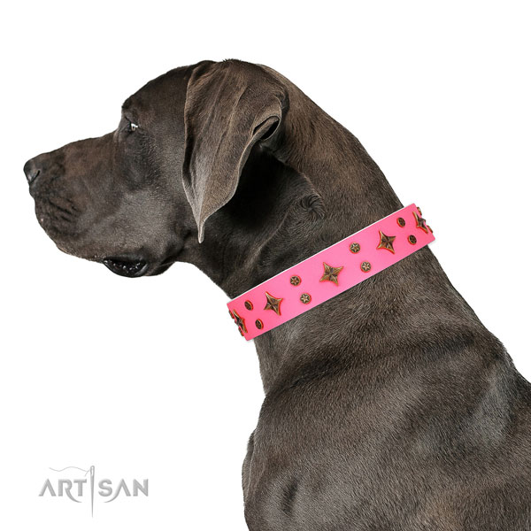 Great Dane easy to adjust natural genuine leather dog collar for everyday use
