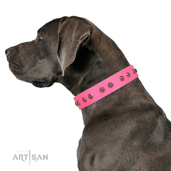 Great Dane decorated full grain genuine leather dog collar for comfy wearing