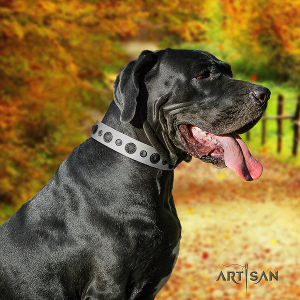 Great Dane easy wearing collar with unusual decorations for your dog