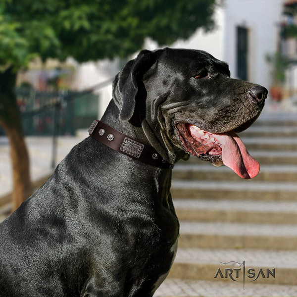 Great Dane perfect fit collar with exquisite embellishments for your doggie