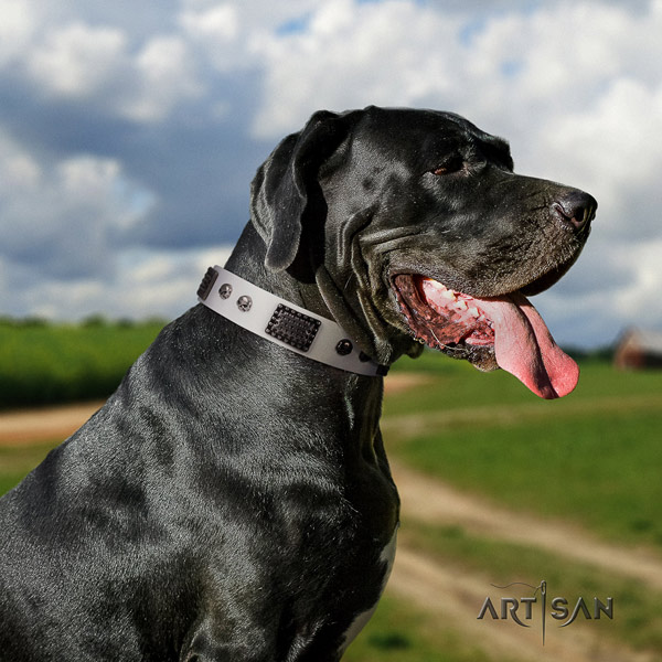 Great Dane convenient collar with incredible decorations for your four-legged friend