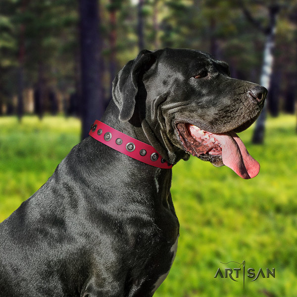 Great Dane easy adjustable collar with inimitable decorations for your four-legged friend