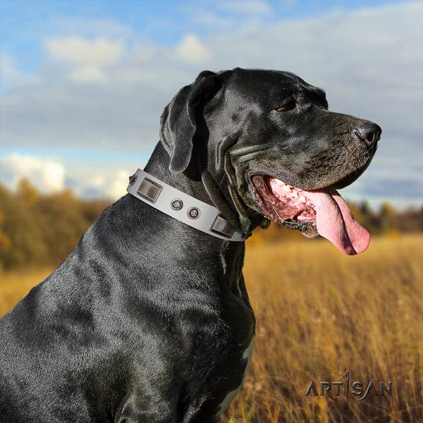 Great Dane handcrafted collar with amazing embellishments for your canine