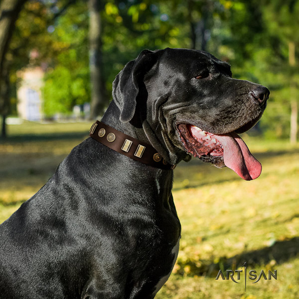 Great Dane fine quality collar with inimitable studs for your doggie