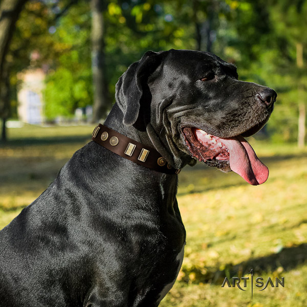 Great Dane fine quality collar with inimitable studs for your doggie