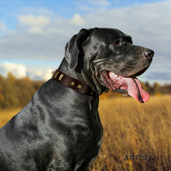 Great Dane handy use leather collar with embellishments for your dog