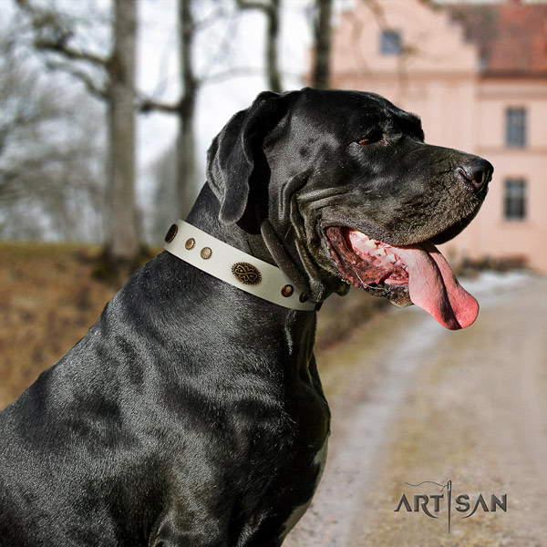 Great Dane best quality collar with stunning embellishments for your canine