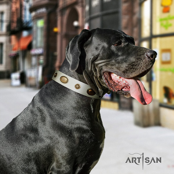 Great Dane easy to adjust collar with unusual adornments for your dog