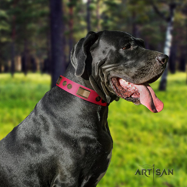 Great Dane best quality collar with fashionable adornments for your pet