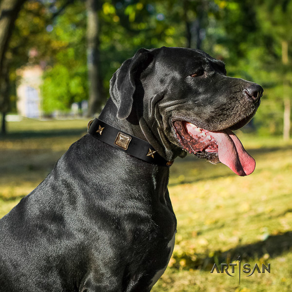 Great Dane handy use genuine leather collar with decorations for your canine