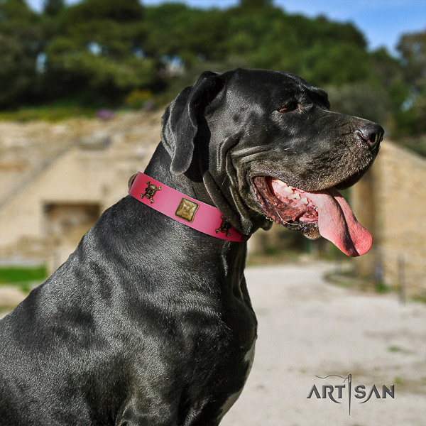 Great Dane easy wearing genuine leather collar with studs for your canine