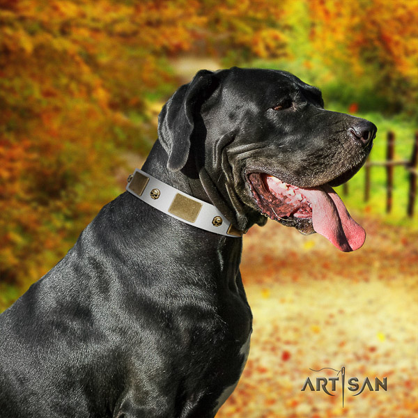 Great Dane comfortable wearing natural leather collar with decorations for your canine
