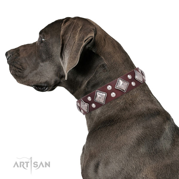 Great Dane convenient full grain natural leather dog collar for stylish walking