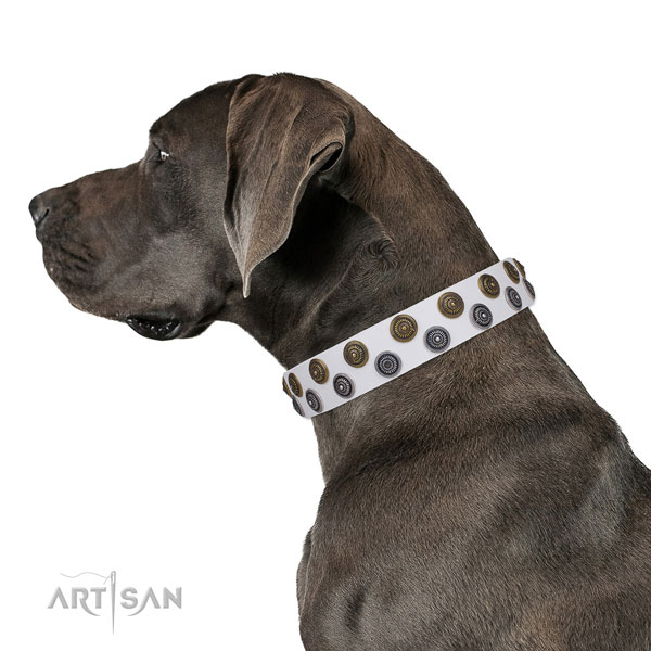 Great Dane amazing full grain natural leather dog collar for easy wearing