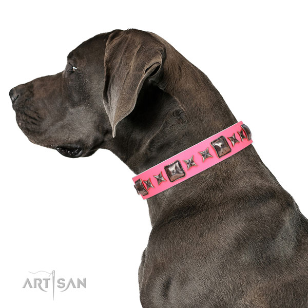 Great Dane fashionable genuine leather dog collar for everyday use