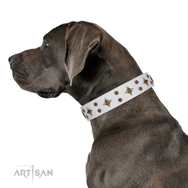 Great Dane easy wearing genuine leather dog collar for daily use