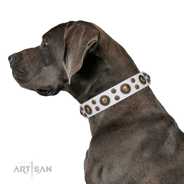 Great Dane easy adjustable genuine leather dog collar for basic training