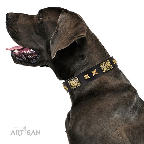 Great Dane unusual full grain leather dog collar for daily use