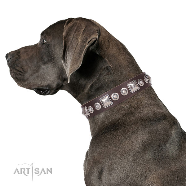 Great Dane embellished natural genuine leather dog collar for comfortable wearing