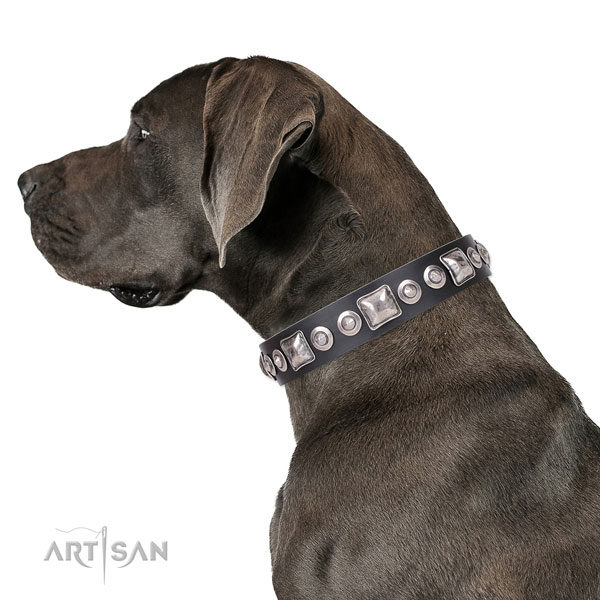 Great Dane adorned leather dog collar for handy use