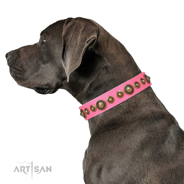 Great Dane top quality full grain leather dog collar for comfy wearing