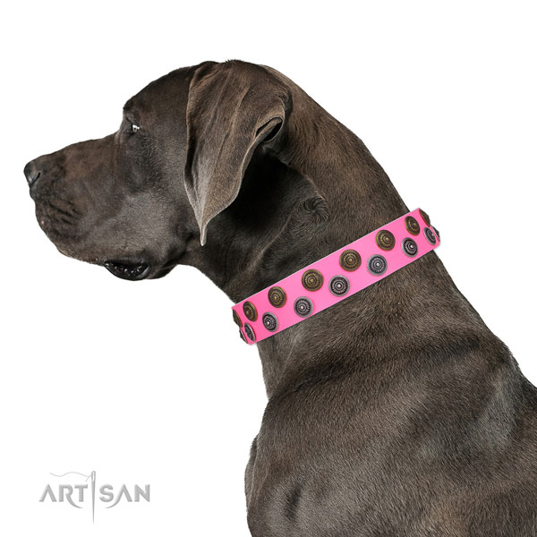 Great Dane embellished full grain leather dog collar for everyday walking