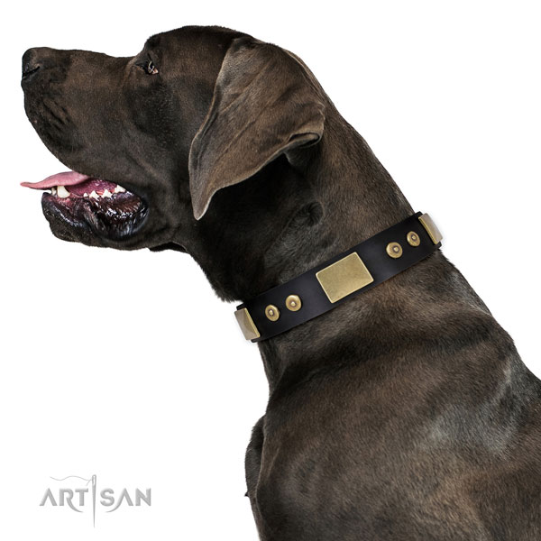 Great Dane amazing genuine leather dog collar for handy use