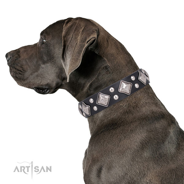 Great Dane amazing full grain natural leather dog collar for handy use