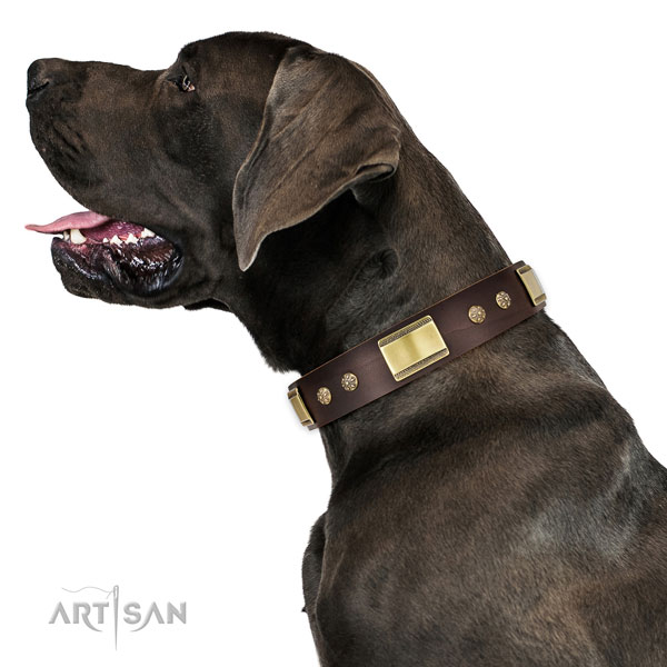 Great Dane embellished natural genuine leather dog collar for everyday use