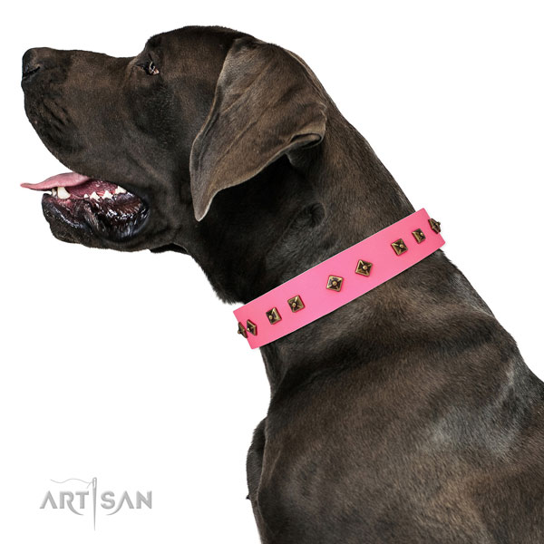 Great Dane easy wearing leather dog collar for stylish walking