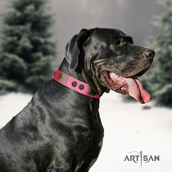 Great Dane comfortable wearing full grain genuine leather collar with decorations for your canine