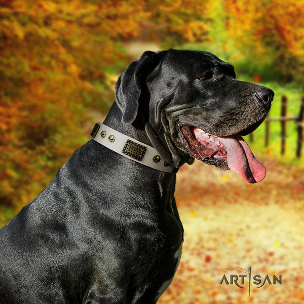 Great Dane handcrafted collar with remarkable studs for your four-legged friend