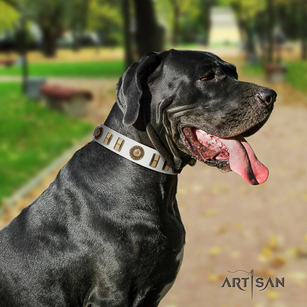 Great Dane basic training genuine leather collar with decorations for your four-legged friend