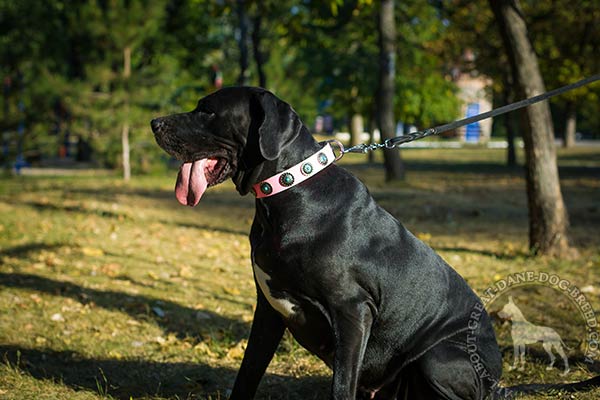 Great Dane pink leather collar with strong hardware for any activity
