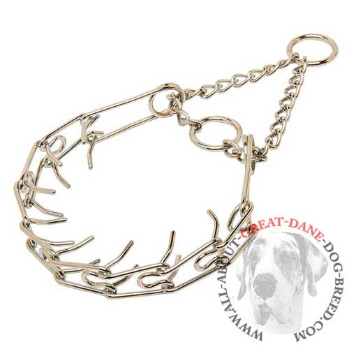 Chrome plated prong collar for Great Dane effective  training