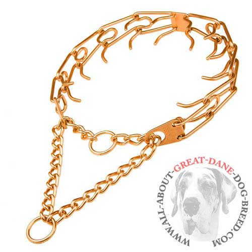 Great Dane pinch collar made of curogan