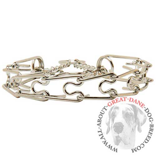 Chrome plated prong collar for Great Dane