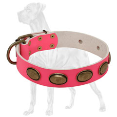 Handcrafted Pink Leather Dog Collar 
