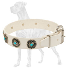 White Leather Dog Collar