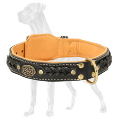 Great Dane Collar with Fur Protection Plate