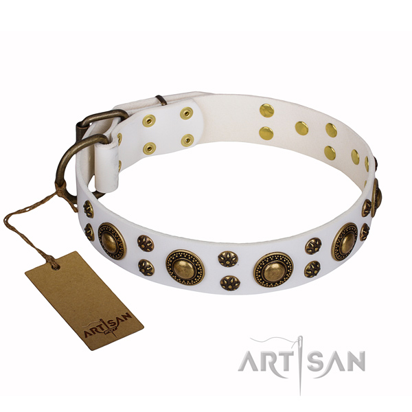 Stylish leather collar for your beloved canine