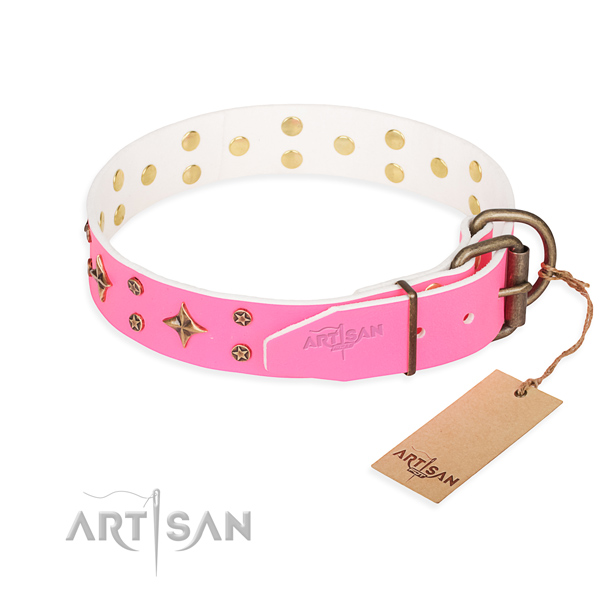 Functional leather collar for your beloved four-legged friend