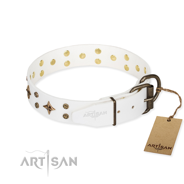 Multifunctional leather collar for your handsome pet