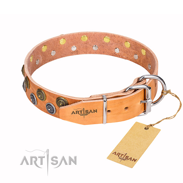 Everyday leather collar for your elegant pet