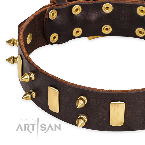 Easy to use leather dog collar with extra sturdy rust-proof fittings