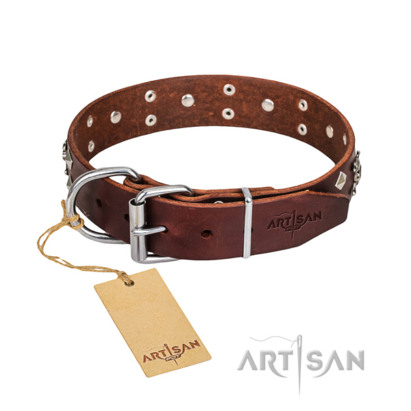 Indestructible leather dog collar with corrosion-resistant details