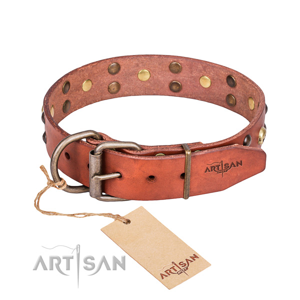 Leather dog collar with thoroughly polished edges for convenient daily walking