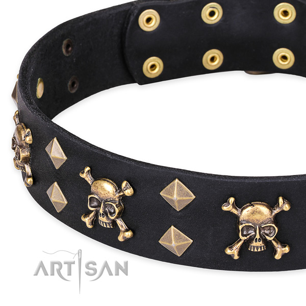 Everyday leather dog collar with luxurious studs