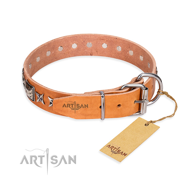 Multifunctional leather collar for your beloved dog