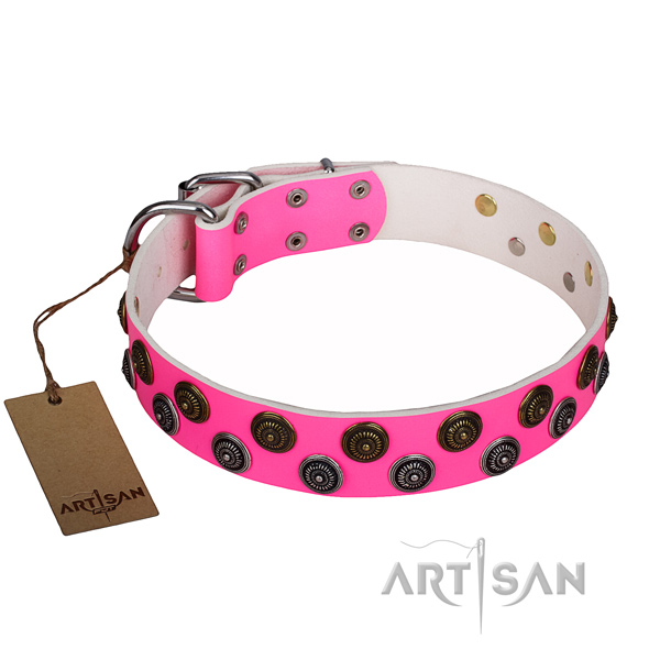 Wear-proof leather collar for your handsome four-legged friend